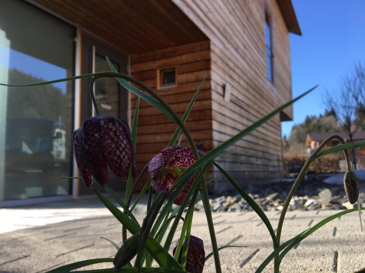 Immenstadt im Allgäu Gaestewohnung Zum Atelier מראה חיצוני תמונה